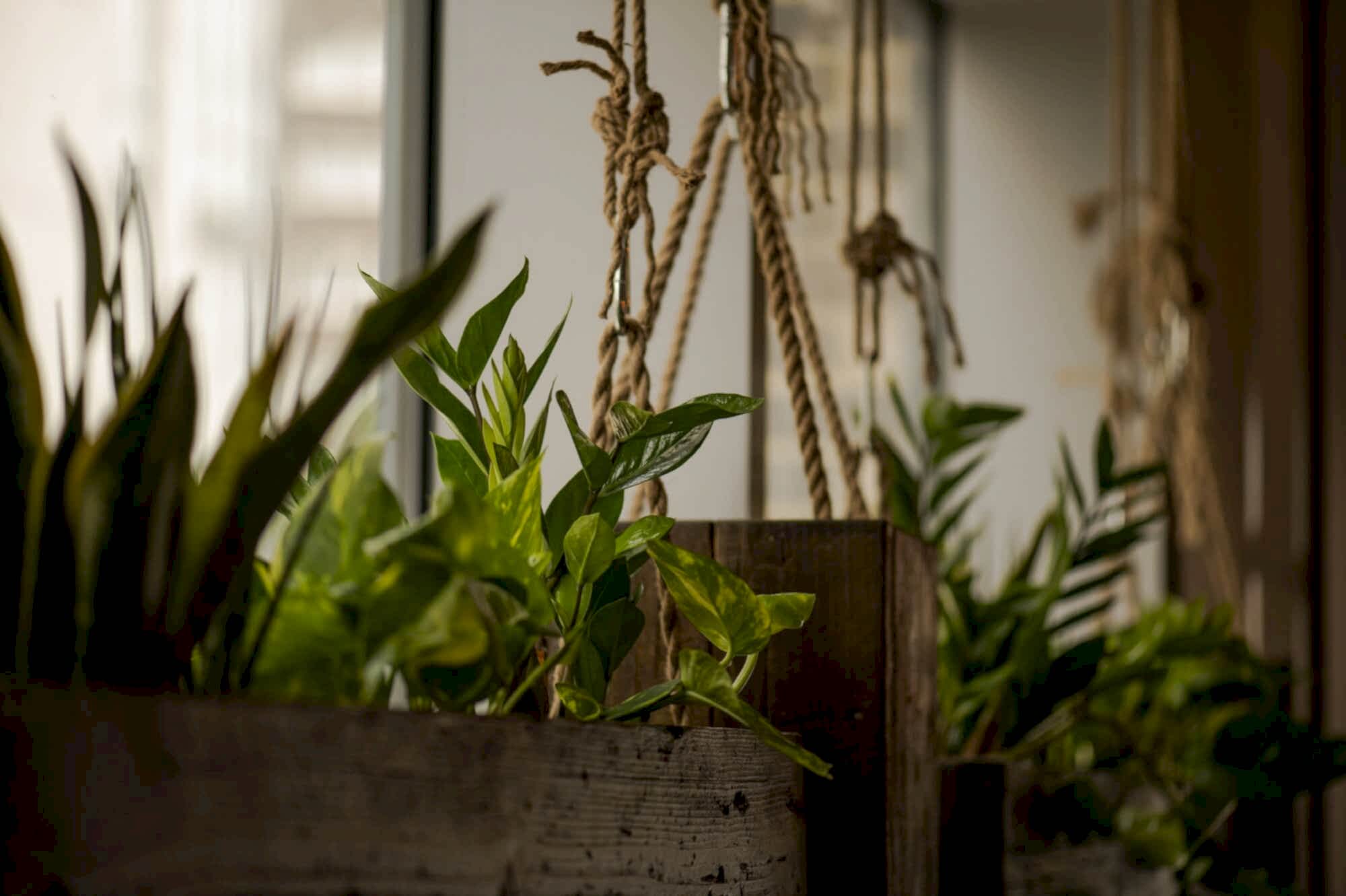 Tempo 301 - Pilates Studio