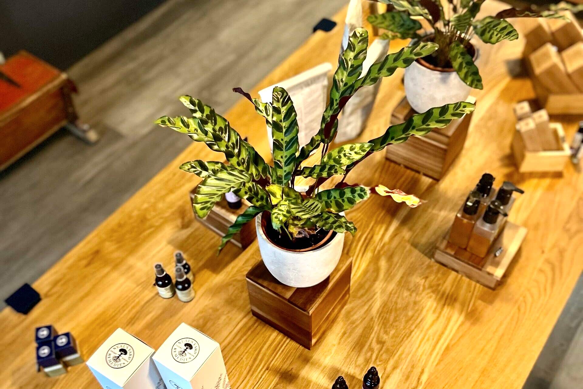 Healthy skin products at Tempo 301